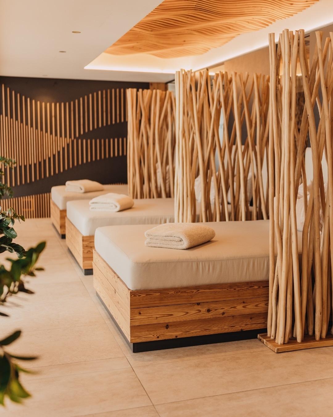 Wellness